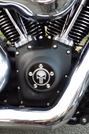 Fat Bob & Street Bob Gell Skull Sticker